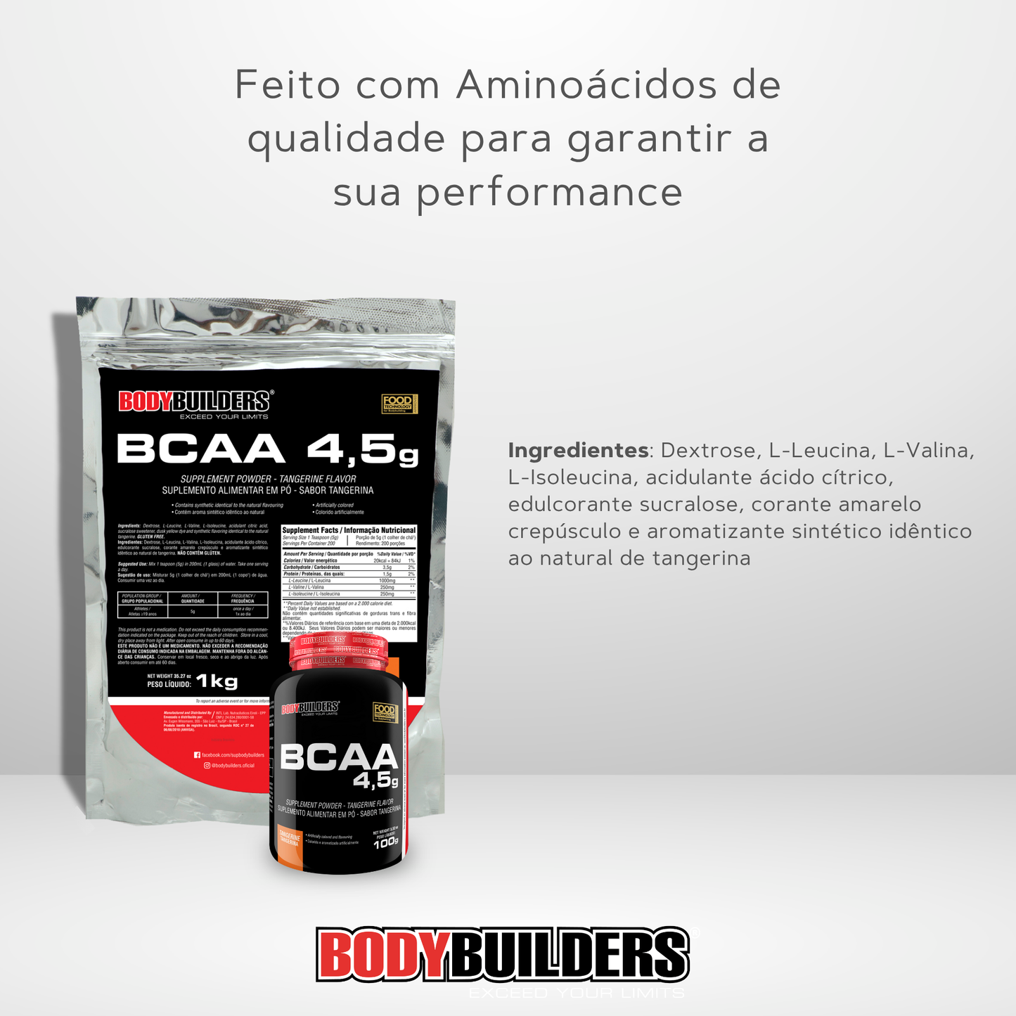Kit Whey Protein 500g + BCAA 4.5 100g + Power Creatine 100g + Cocktail Shaker – Bodybuilders