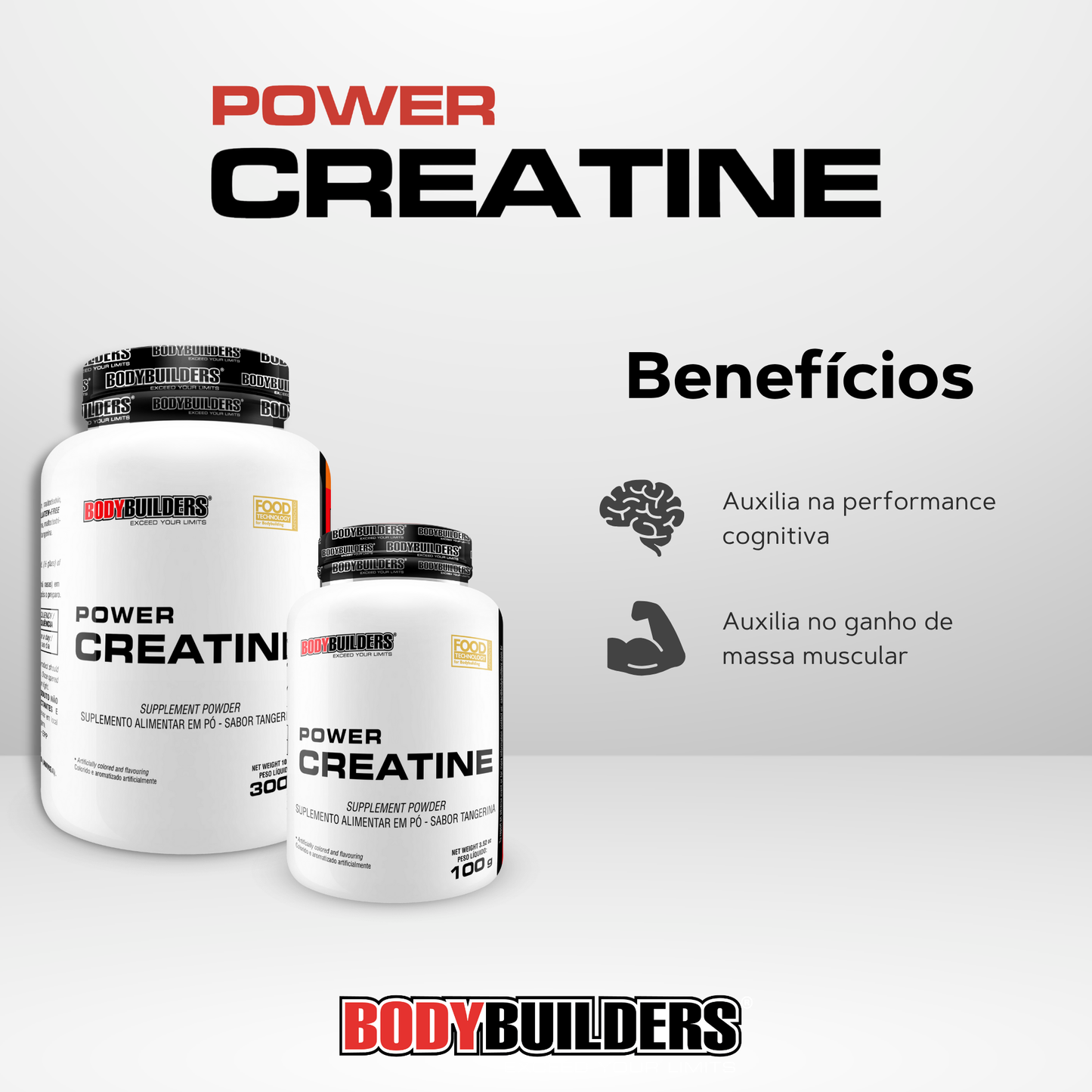 Kit Whey Protein 500g + BCAA 4.5 100g + Power Creatine 100g + Cocktail Shaker – Bodybuilders