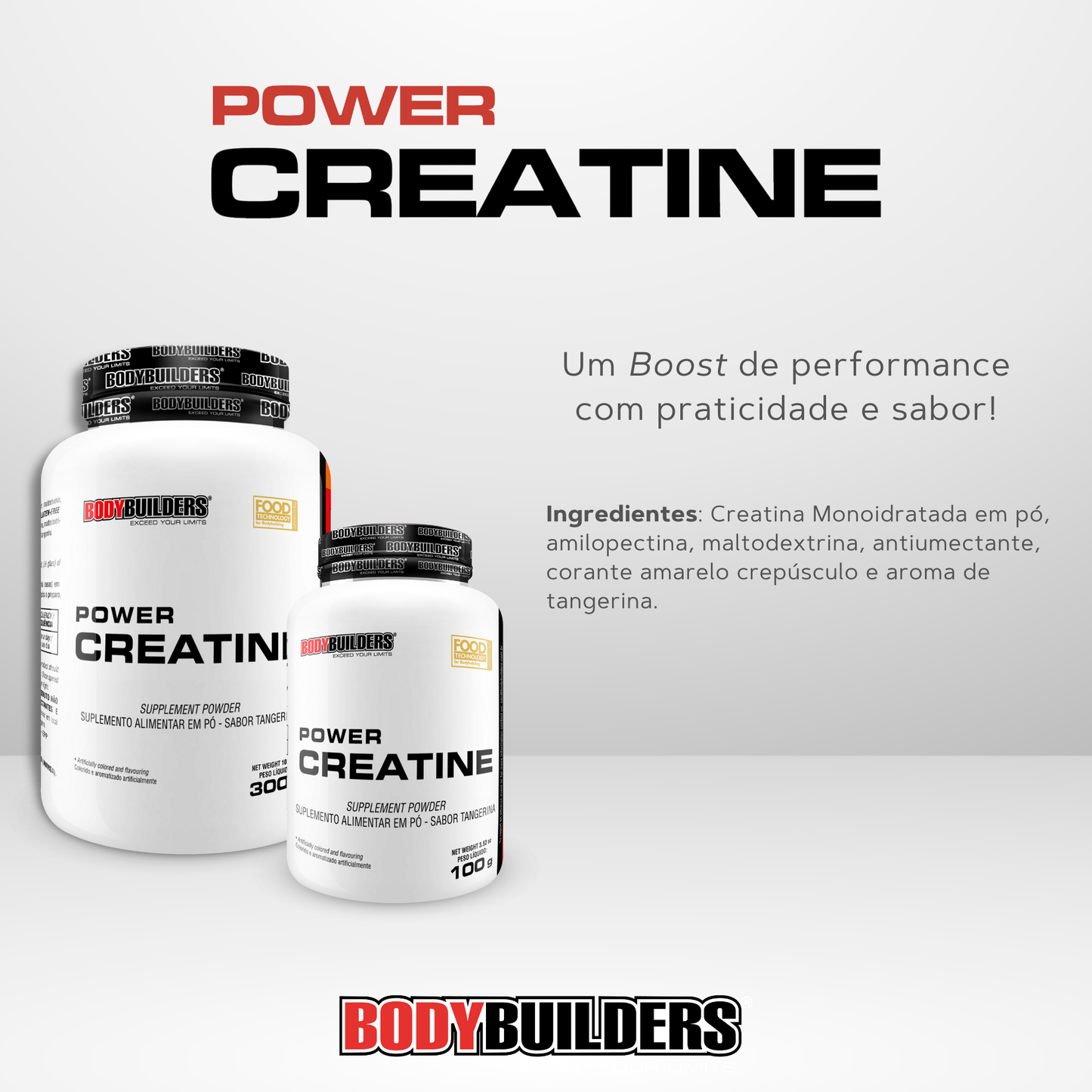 Kit Whey Protein 500g + BCAA 4.5 100g + Power Creatine 100g + Cocktail Shaker – Bodybuilders
