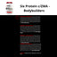 6 SIX PROTEIN ADVANCED C/ ZMA POTE 900g - Bodybuilders