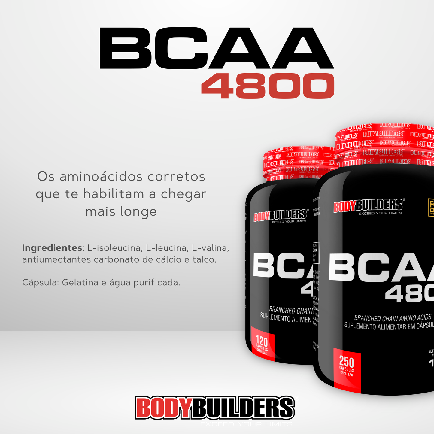 Kit Waxy Whey 900g + BCAA 4800 120Cáps + Burn Caff 60Cáps + Coqueteleira 600ml - Bodybuilders