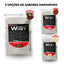 Kit Whey Protein 500g + BCAA 4.5 100g + Power Creatine 100g + Cocktail Shaker – Bodybuilders